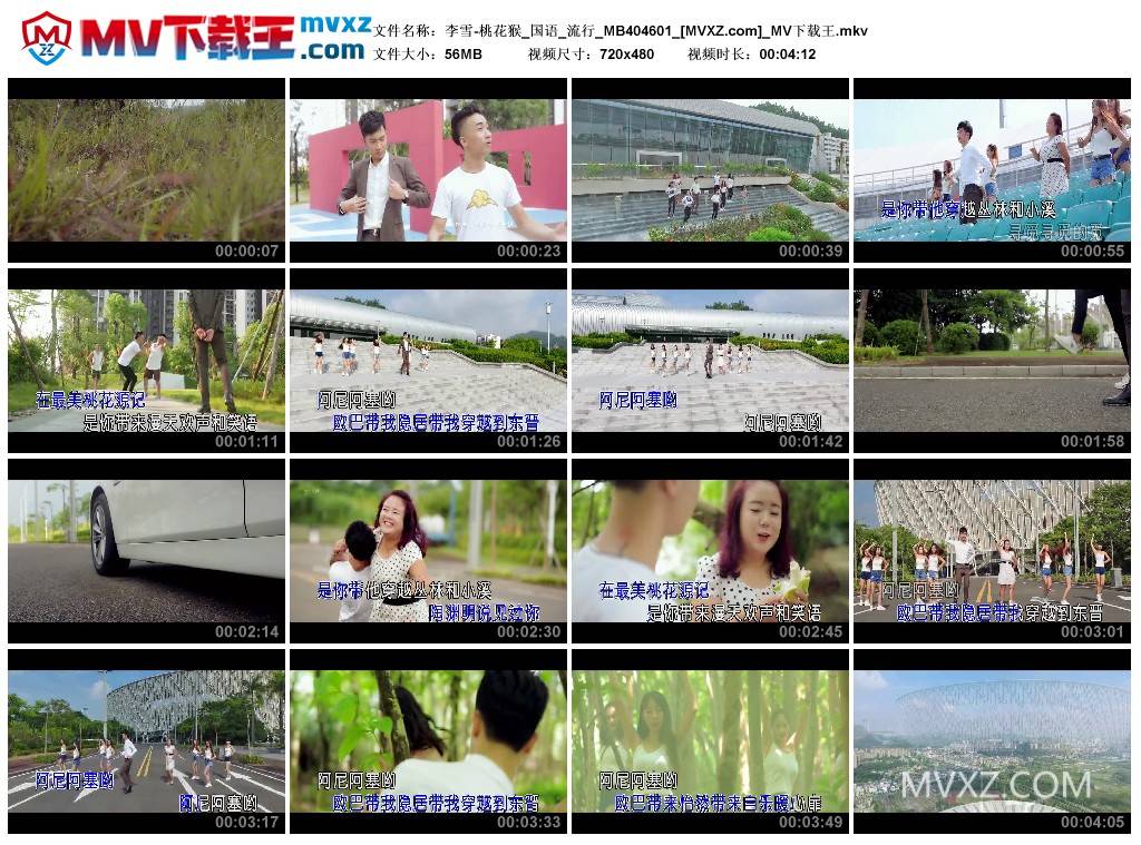 李雪-桃花猴_国语_流行_MB404601